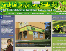 Tablet Screenshot of kiralykutgyogynoveny.hu